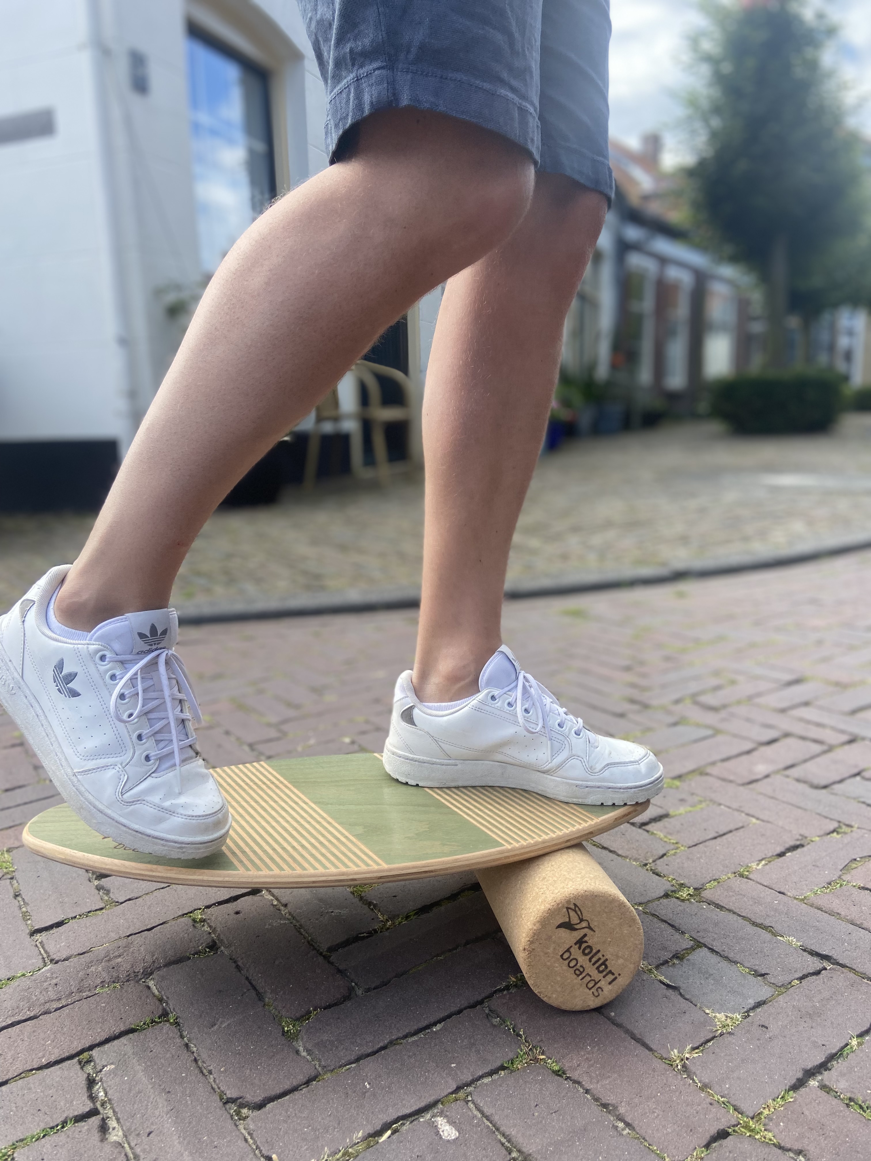 Balance Board Übung